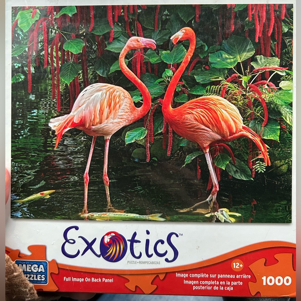Exotics Flamingo Puzzle 1000 Pieces by Mega Puzzles